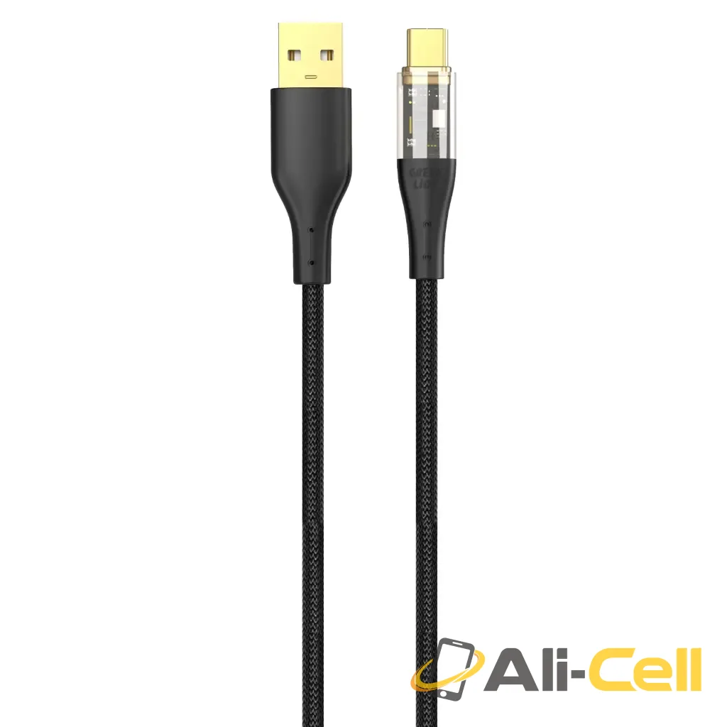 Green Lion USB-A to USB-C Transparent Cable - Black
