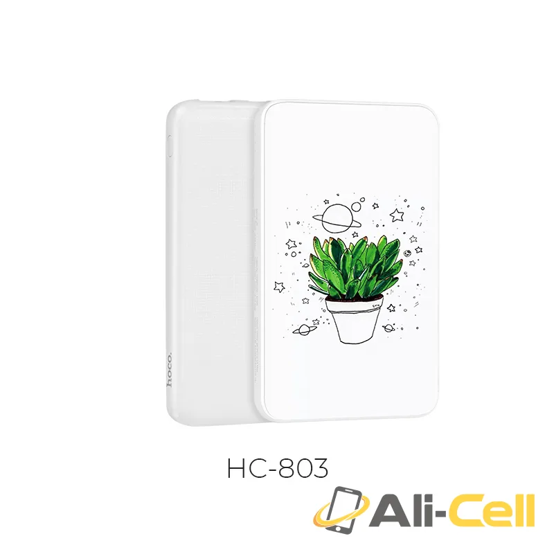 Power bank «J6 Iridescence» 10000mAh dual USB with LED display