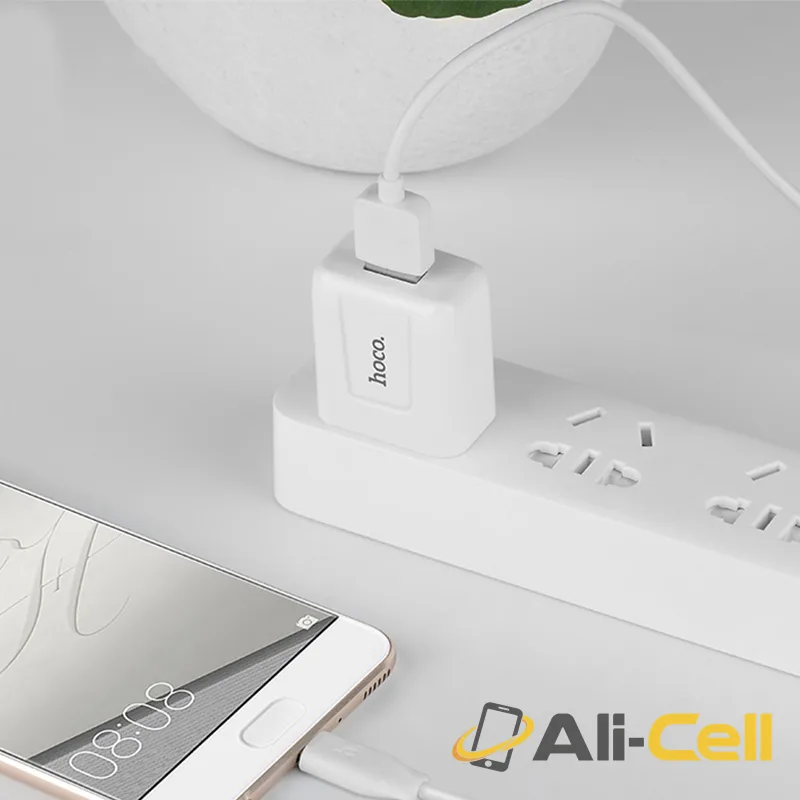 Wall charger “C2” CN plug single USB charging adapter (Set With Micro Usb Cable) — 5