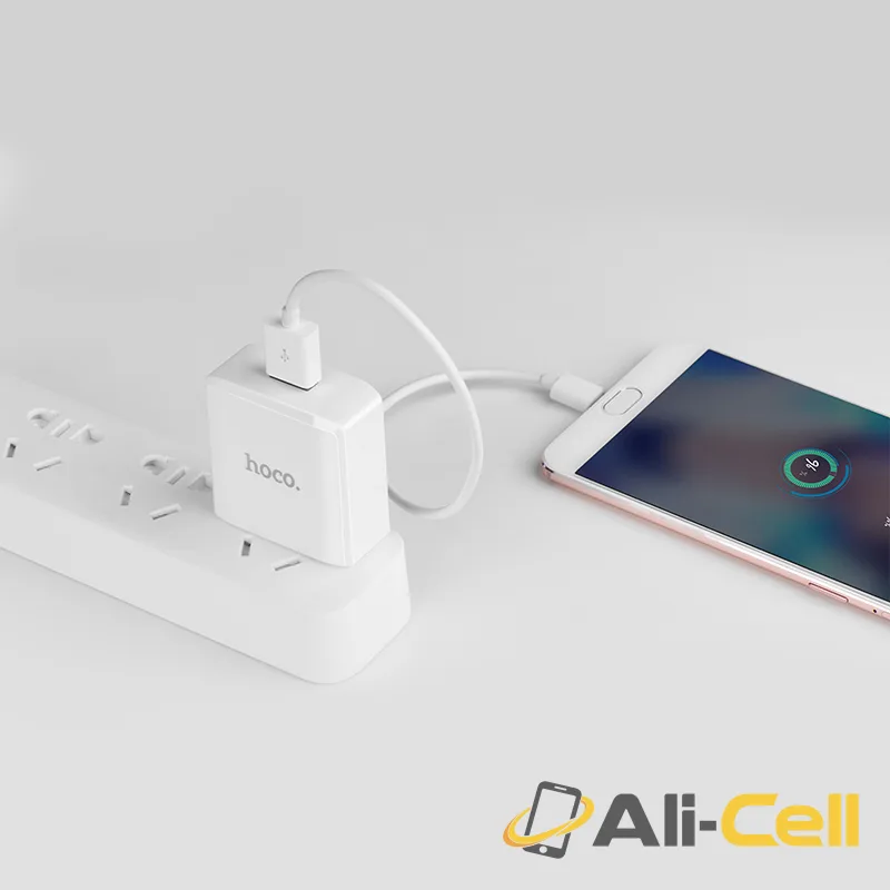 Wall charger “C29 Prospering” QC3.0 US plug single USB — 5