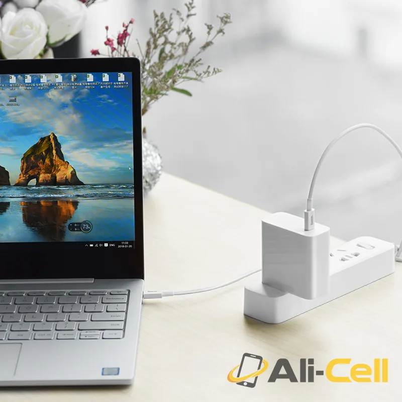 Cable «X23 Skilled» charging data Type-C to Type C (1.0m) — 6