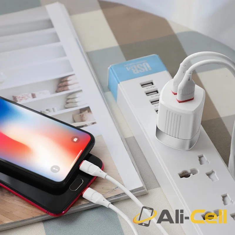 Wall charger “C55 Energy” dual USB port US — 6