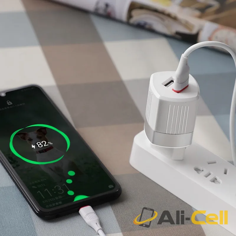 Wall charger “C55A Energy” dual USB port EU — 5