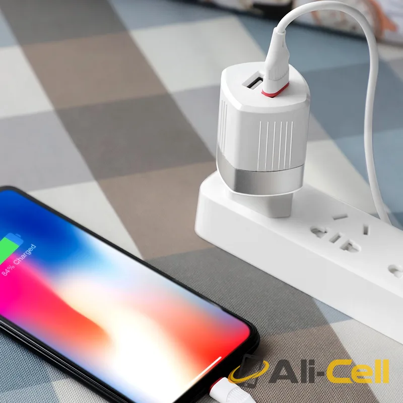 Wall charger “C55A Energy” dual USB port EU — 6