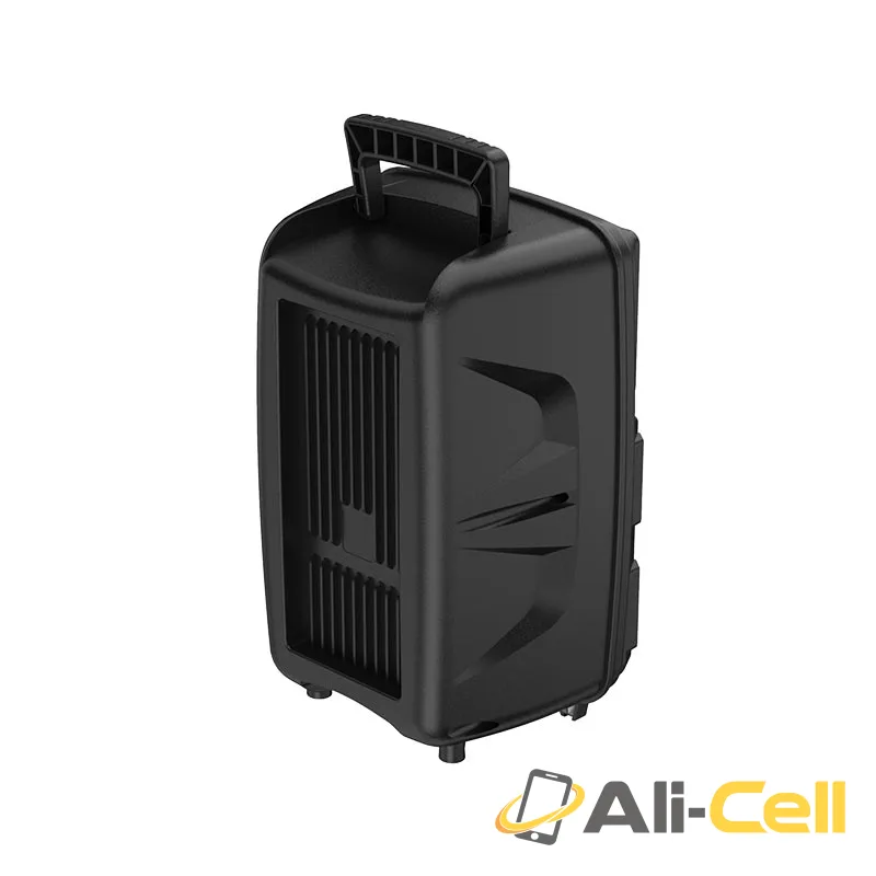 Wireless speaker “BS37 Dancer” outdoor loudspeaker (Bs37 Black) — 3