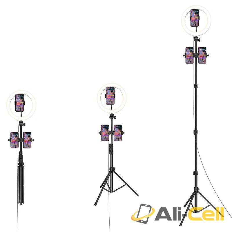 Tabletop holder “LV02 Aesthetic light” for live broadcast (Lv02 Black) — 3
