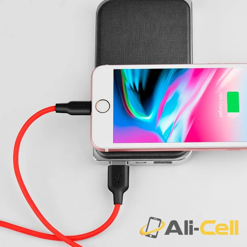 Cable «X21 Silicone» charging data USB to Lightning (1.0m) — 6