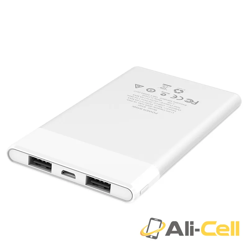 Power bank “B35D Entourage” 5000mAh dual USB output — 3