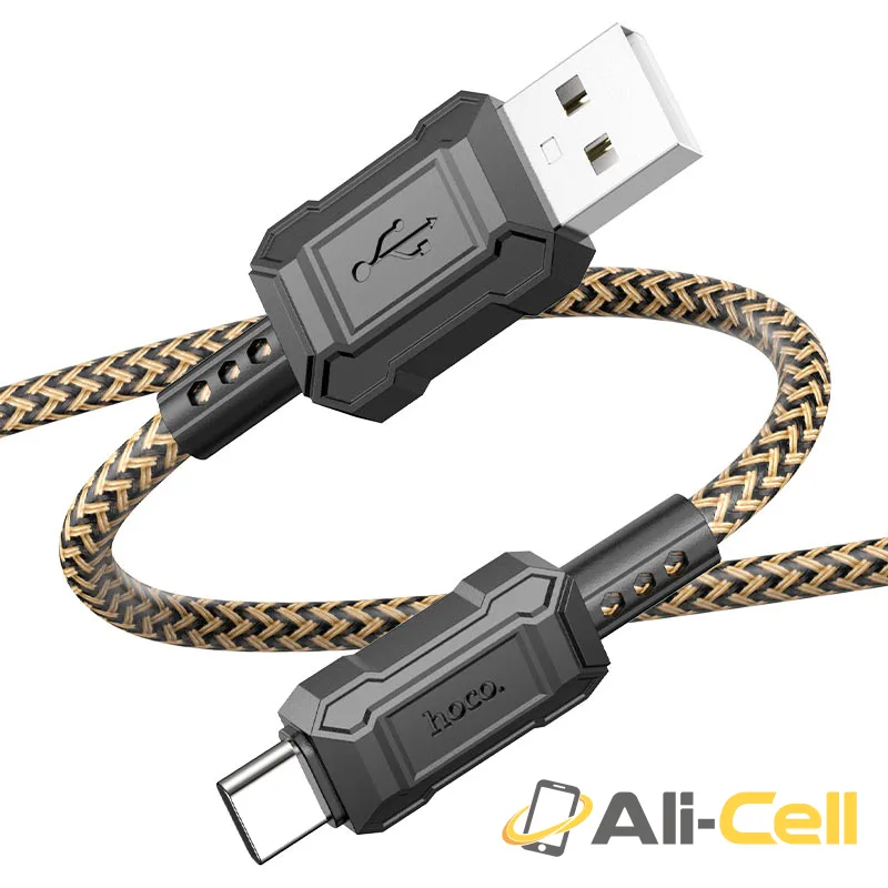 Cable USB to Type-C “X94 Leader” (X94 Usb Tc Gold, 1.0m) — 3