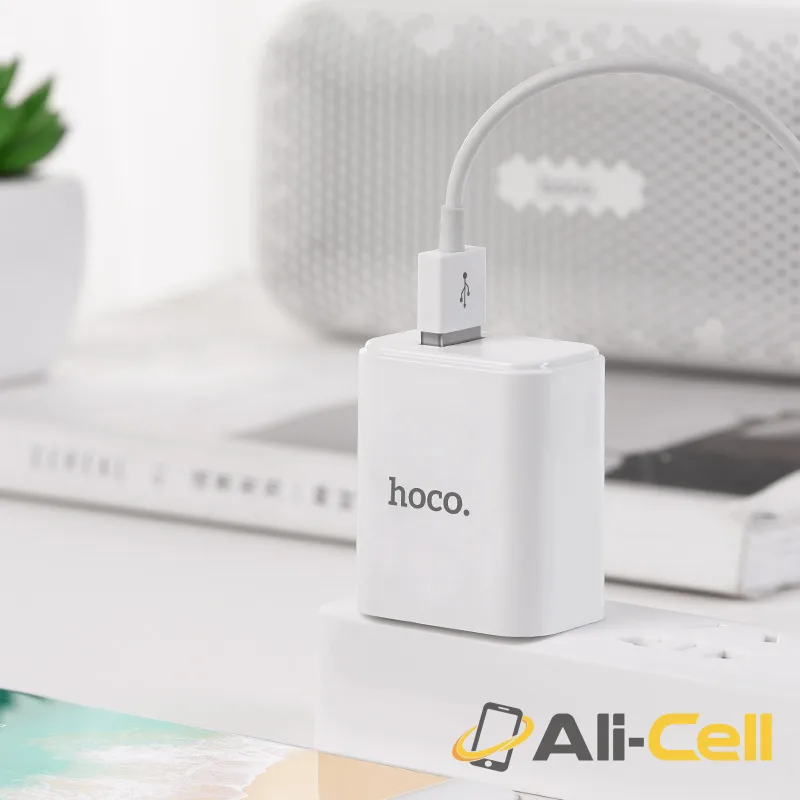 Wall charger “C61 Victoria” single USB port 3C (CN) — 6