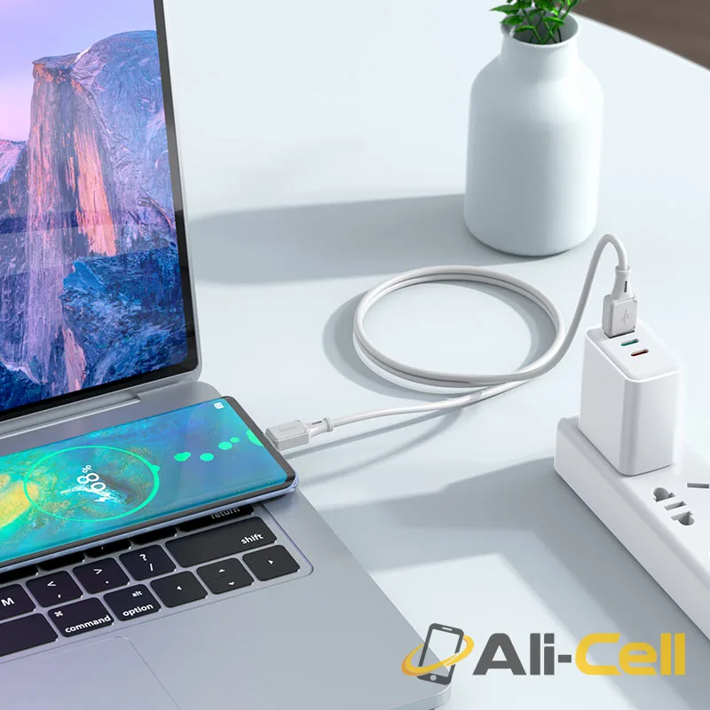 Cable USB to Type-C “X101 Assistant” (X101 Usb Tc Grey, 1.0m) — 7