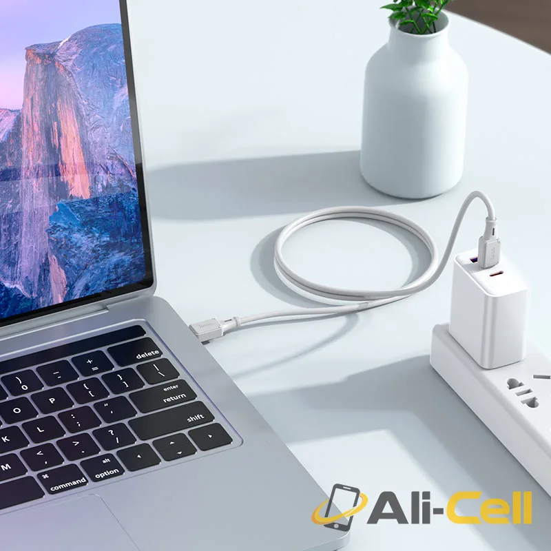 Cable Type-C to Type-C “X101 Assistant” PD 60W fast charge (X101 60w Tc Tc Grey, 1.0m) — 7