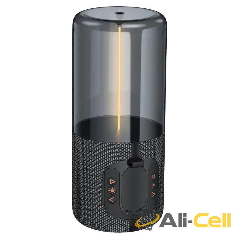 Wireless speaker “BS64 Rocker” portable loudspeaker (Bs64 Grey)