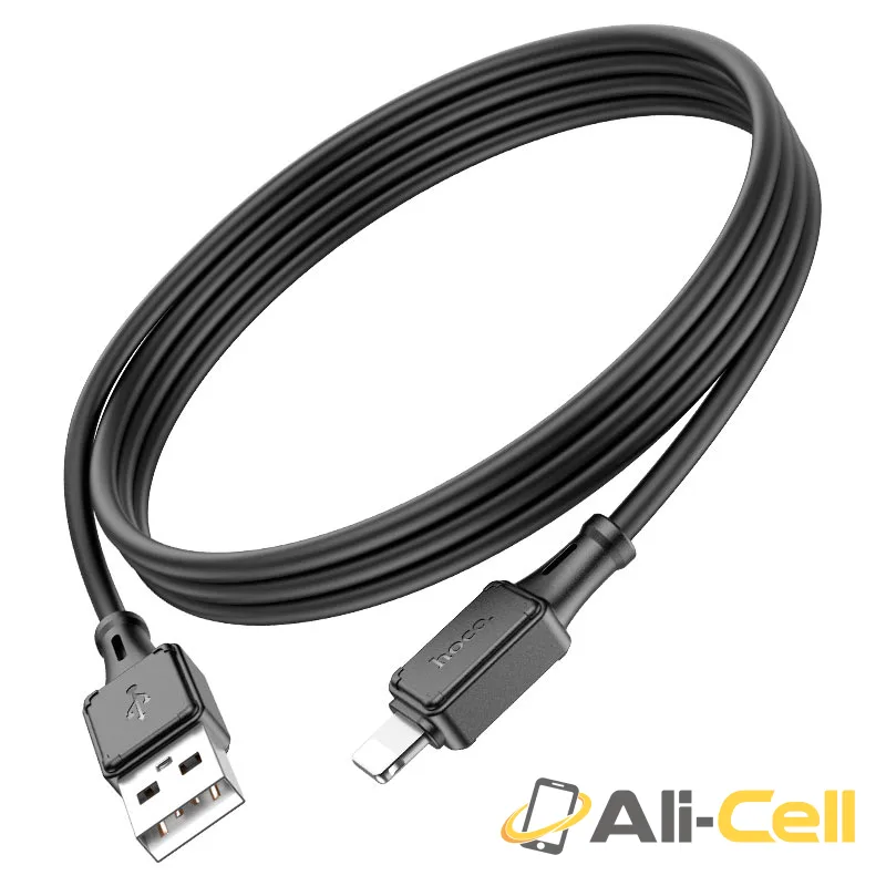 Cable USB to iP “X101 Assistant” (X101 Usb Ltn Black, 1.0m) — 5