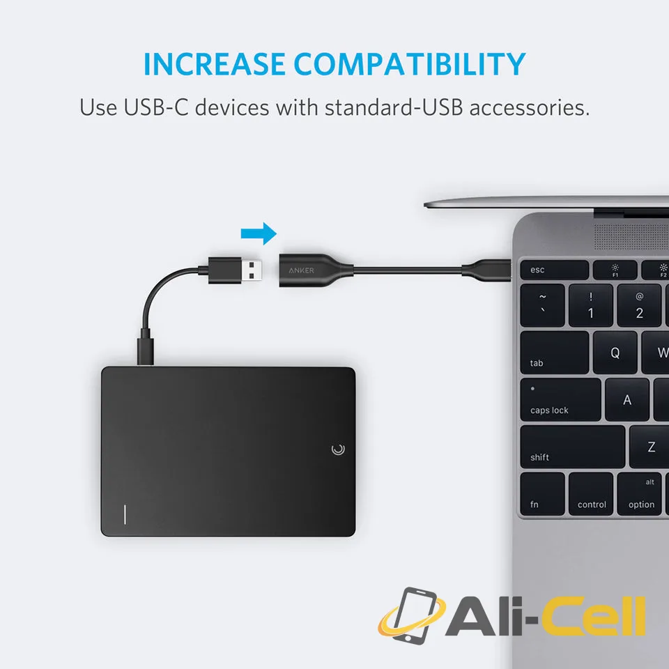 USB-C to USB 3.1 Adapter — 2