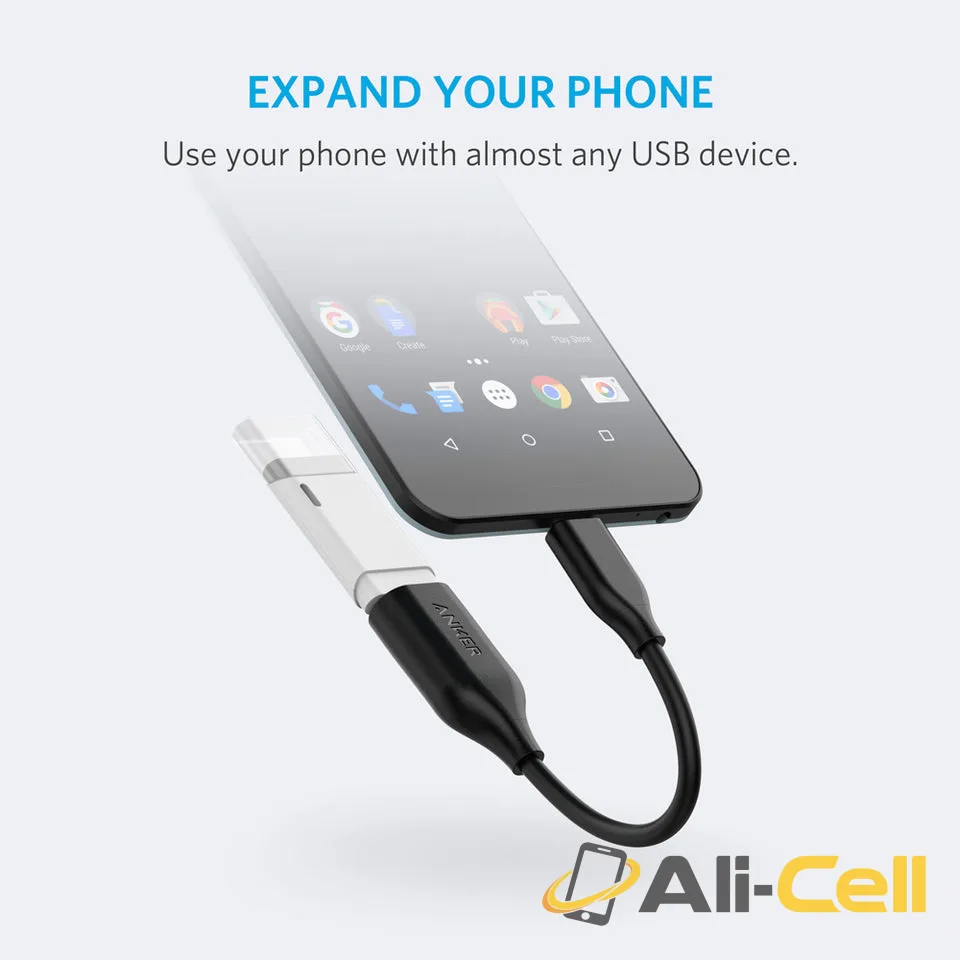 USB-C to USB 3.1 Adapter — 3