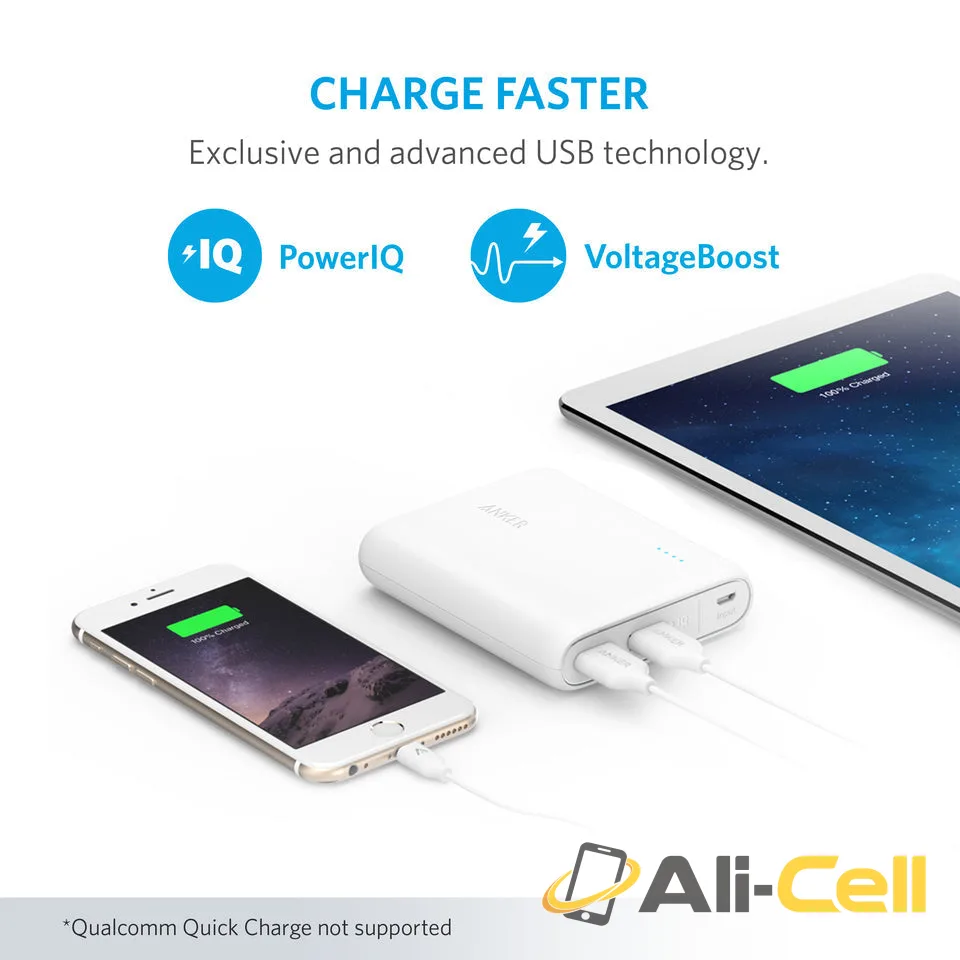 PowerCore 13000 — 5
