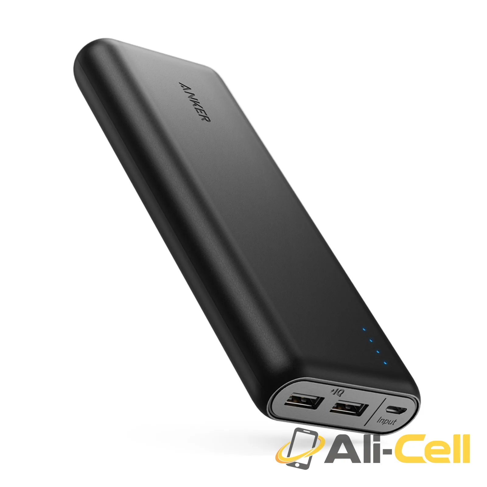 PowerCore 20100