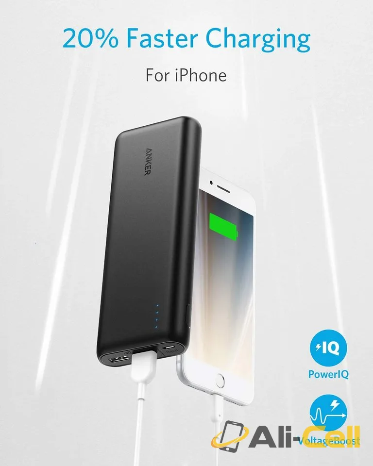 PowerCore 20100 — 3