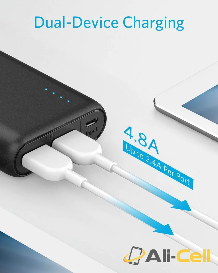 PowerCore 20100 — 4