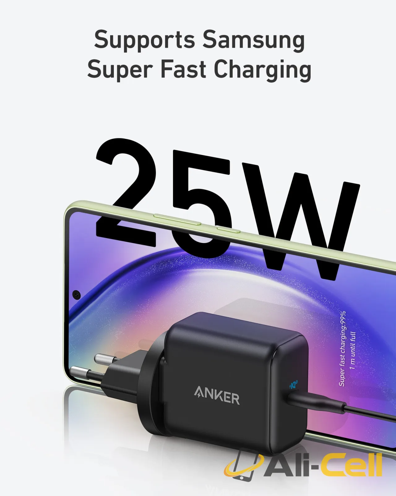 Anker 312 Charger (Ace, 25W) — 2