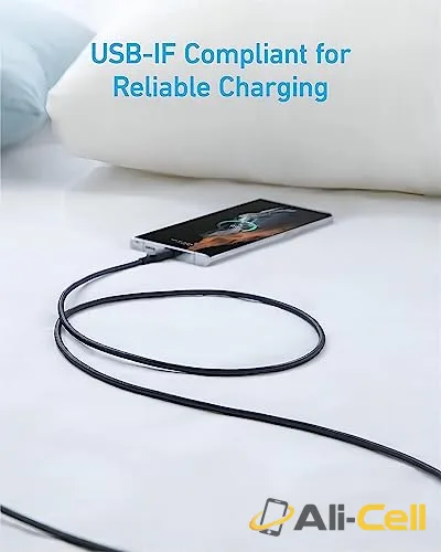Anker 310 USB-A to USB-C Cable (6 ft Braided) — 3