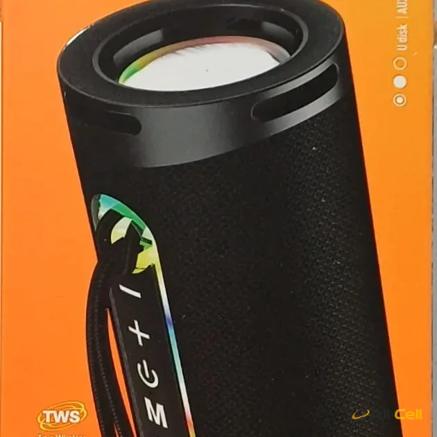 True wireless speaker