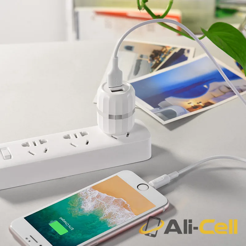 Wall charger “C41 Wisdom” US dual USB charging adapter (Set With Lightning Cable) — 5