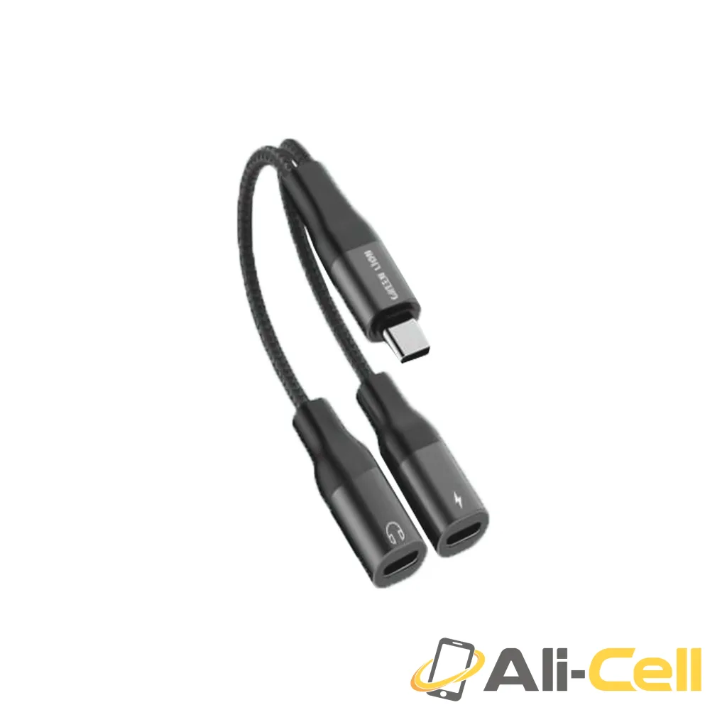 Green Lion 2 In 1 Audio & Charging Splitter Adapter — 2