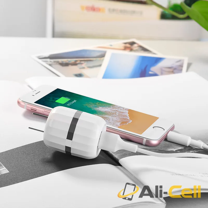 Wall charger “C41 Wisdom” US dual USB charging adapter (Set With Type C Cable) — 6