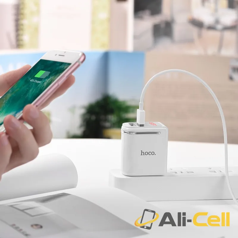 Wall charger “C39 Enchanting” US dual USB charging adapter — 6