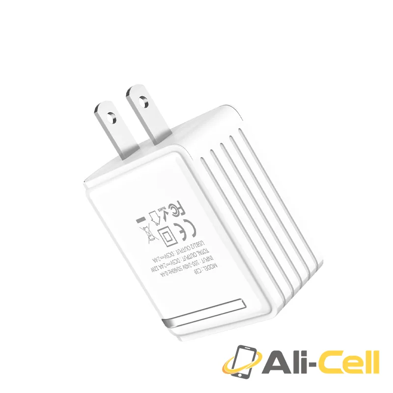 Wall charger “C39 Enchanting” US dual USB charging adapter — 4