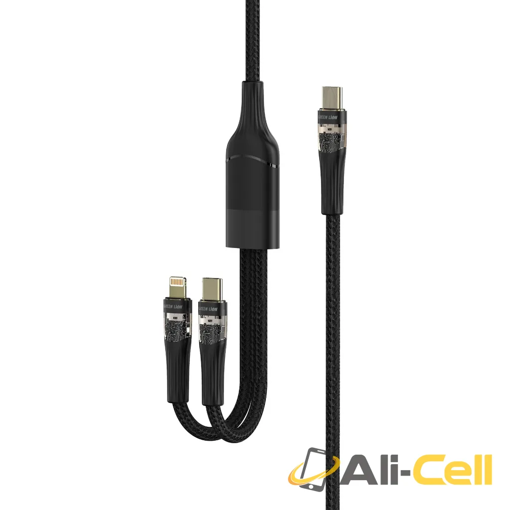 Green Lion 2 in1 Transparent Fast Charging Cable - Black