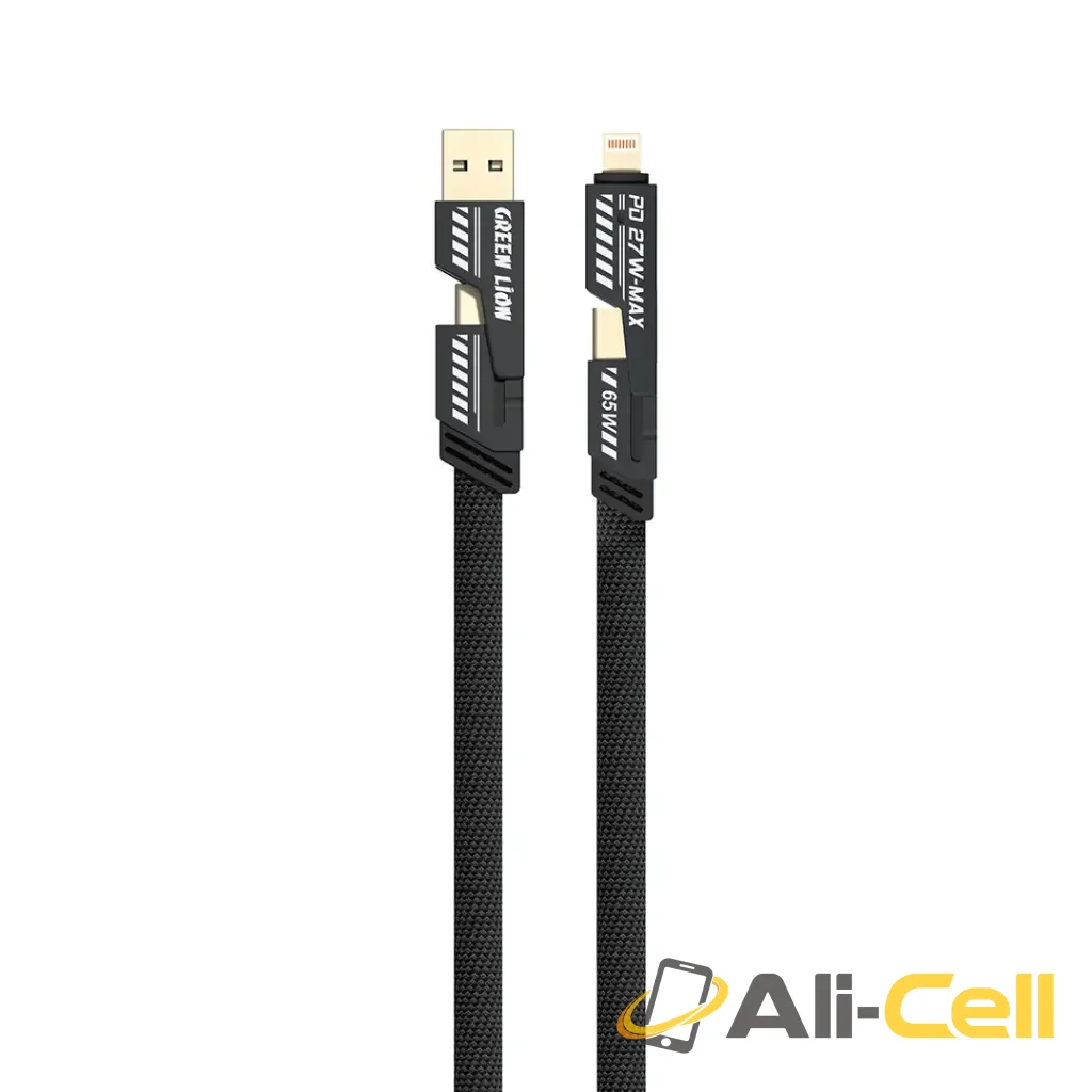 Green Lion 2-In-2 Braided Fast Charging Cable