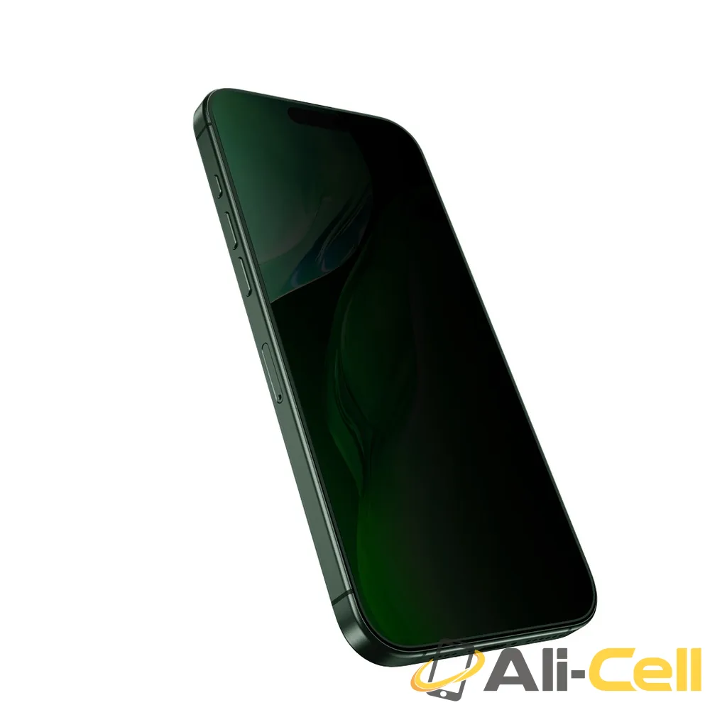 Green Lion 3D Silicone Plus Advanced Privacy Edge Glass for iPhone Series - Black