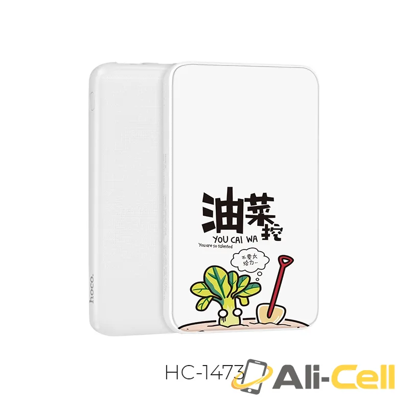 Power bank «J30 Cool paint» 10000 mAh dual USB output