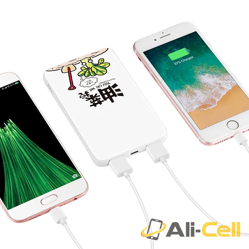 Power bank «J30 Cool paint» 10000 mAh dual USB output — 5