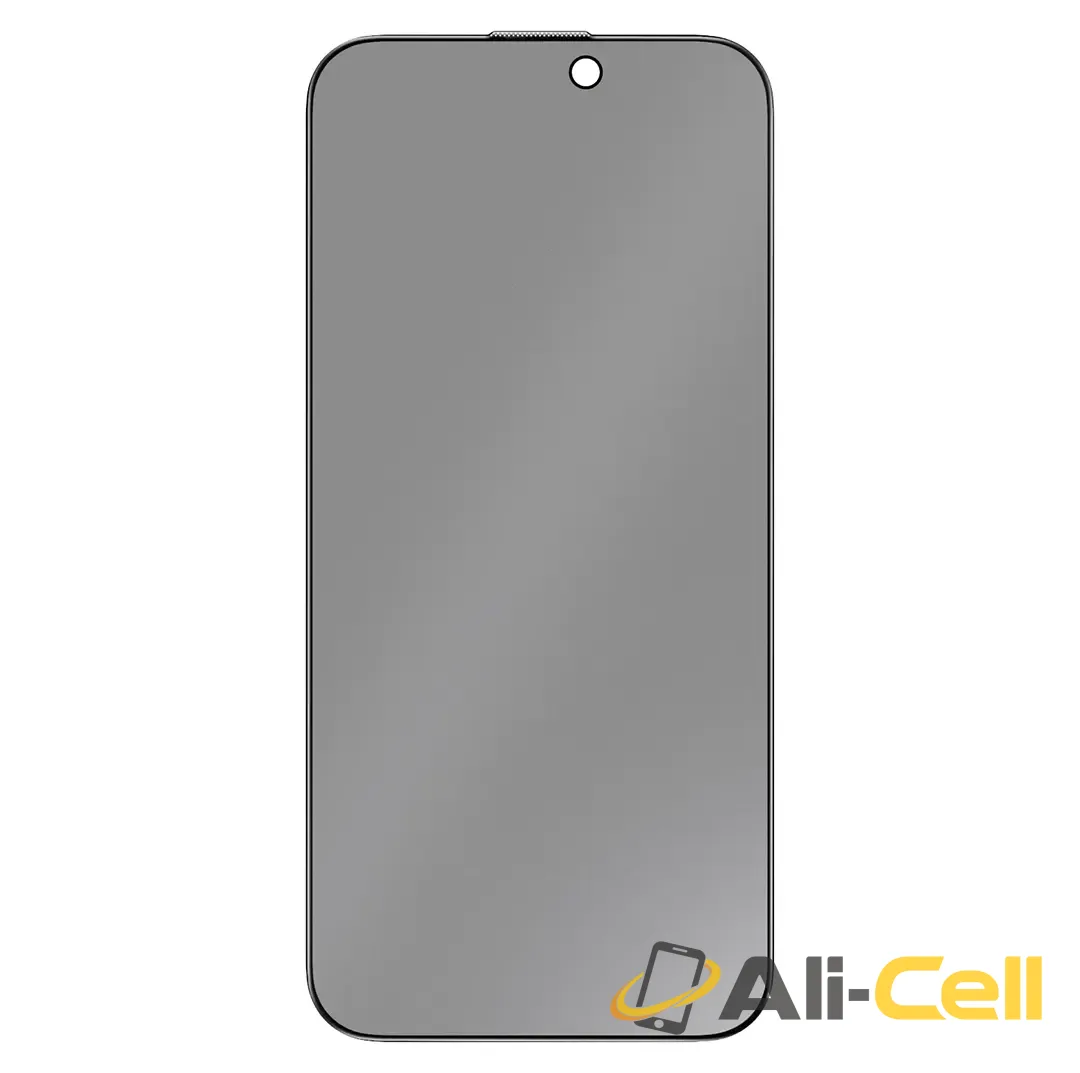 Green Lion 9H Steve Matte Privacy Glass for iPhone 17 Pro/Pro Max - Black Edge/Privacy