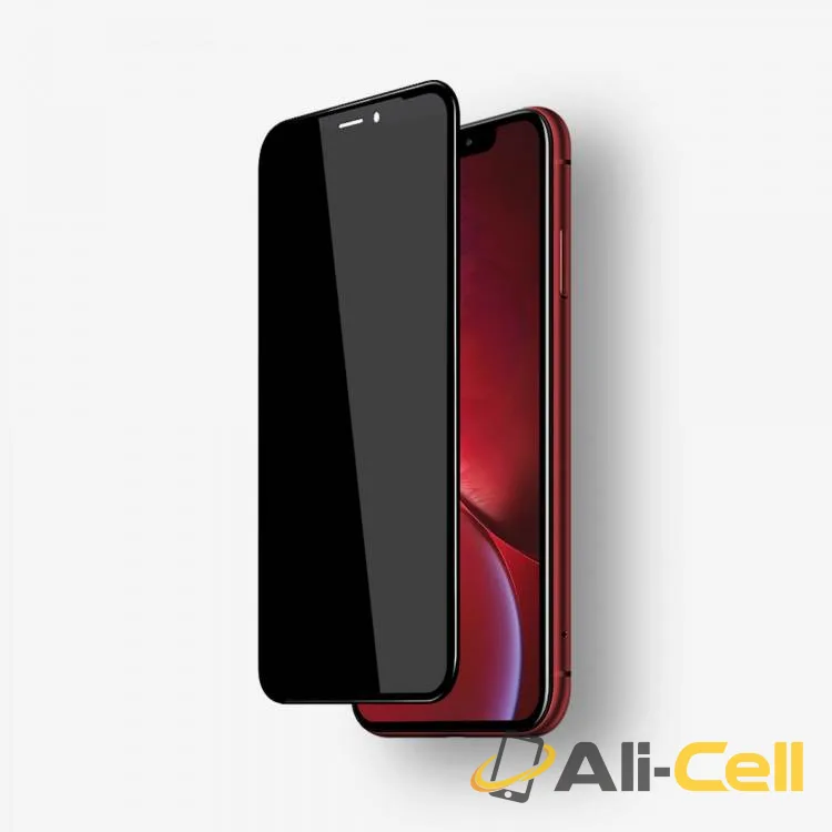Green Lion 9H Steve Privacy Full Glass Screen Protector - iPhone 11 — 2