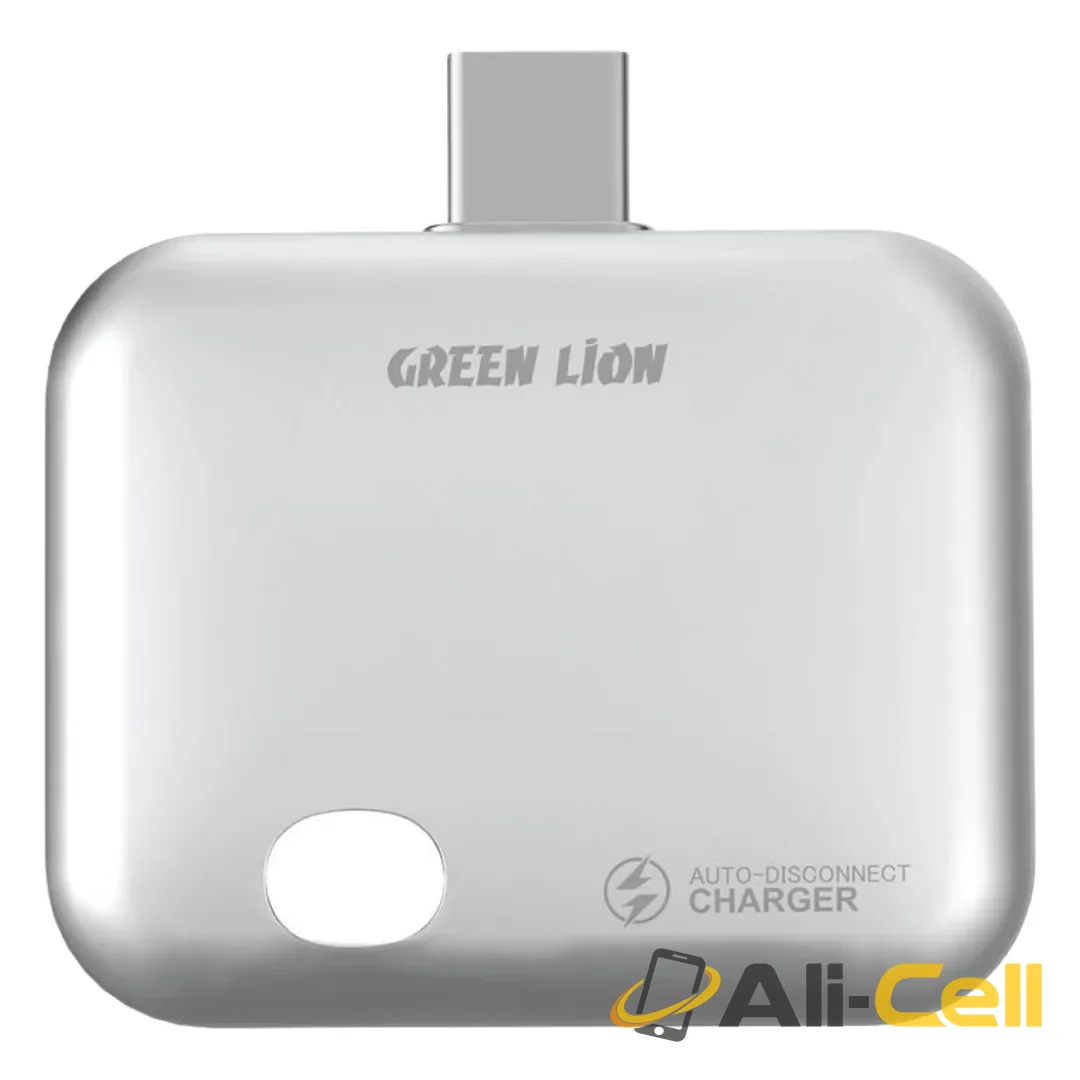 Green Lion Auto-Disconnect Smart Charger - Gray