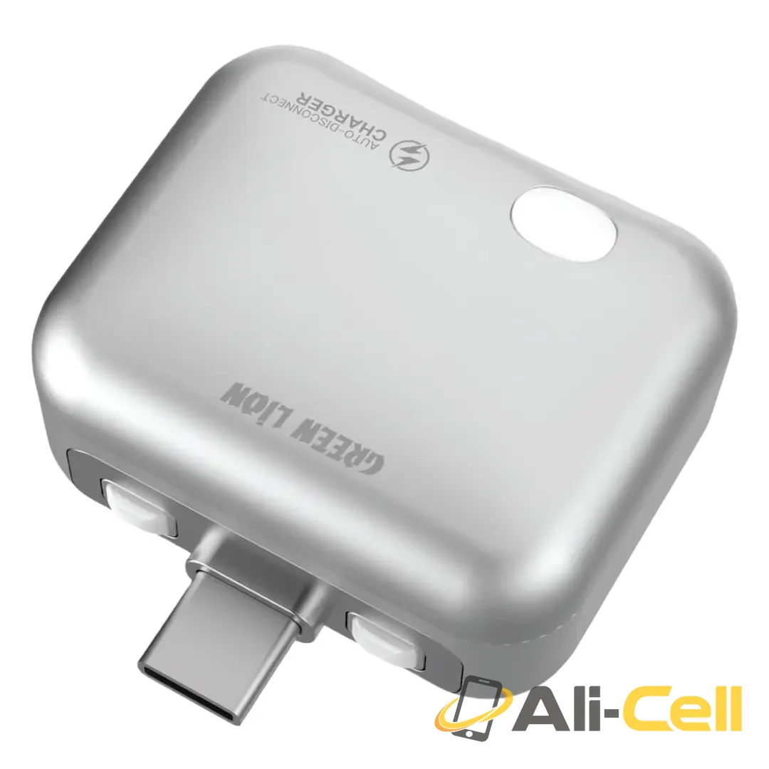 Green Lion Auto-Disconnect Smart Charger - Gray — 2