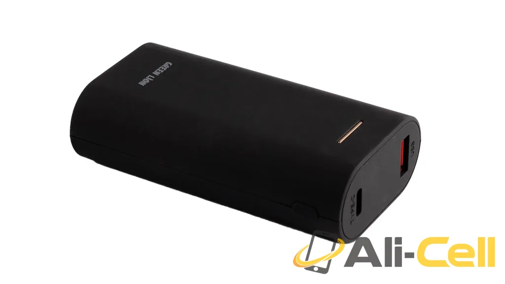Green Lion Compact 10000mAh Power Bank