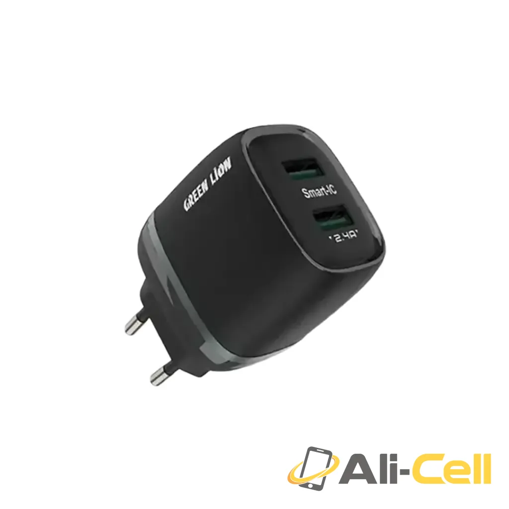 Green Lion Dual USB 12W Wall Charger - Black