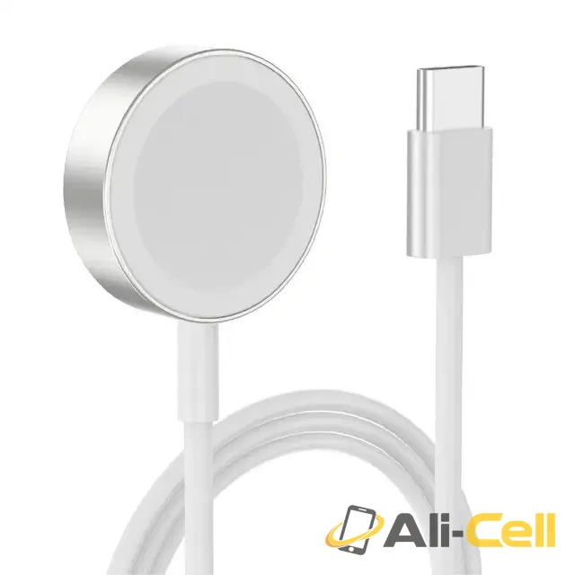 Green Lion Magnetic Charging Cable 1.2M ( Type-C Interface ) for iWatch – Silver