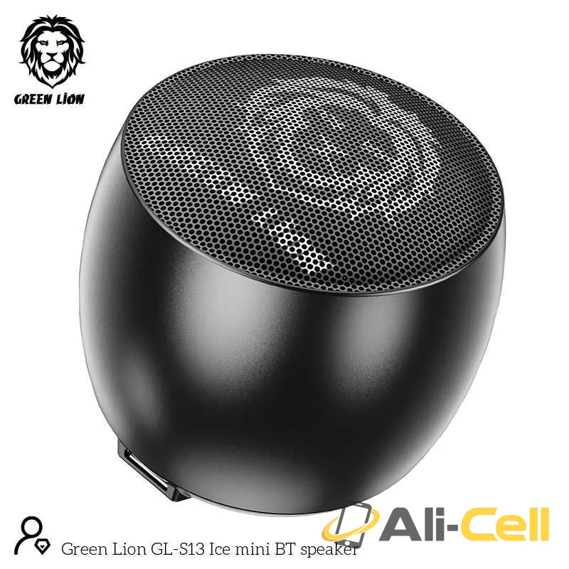 Green Lion Mini Pro Speaker — 2