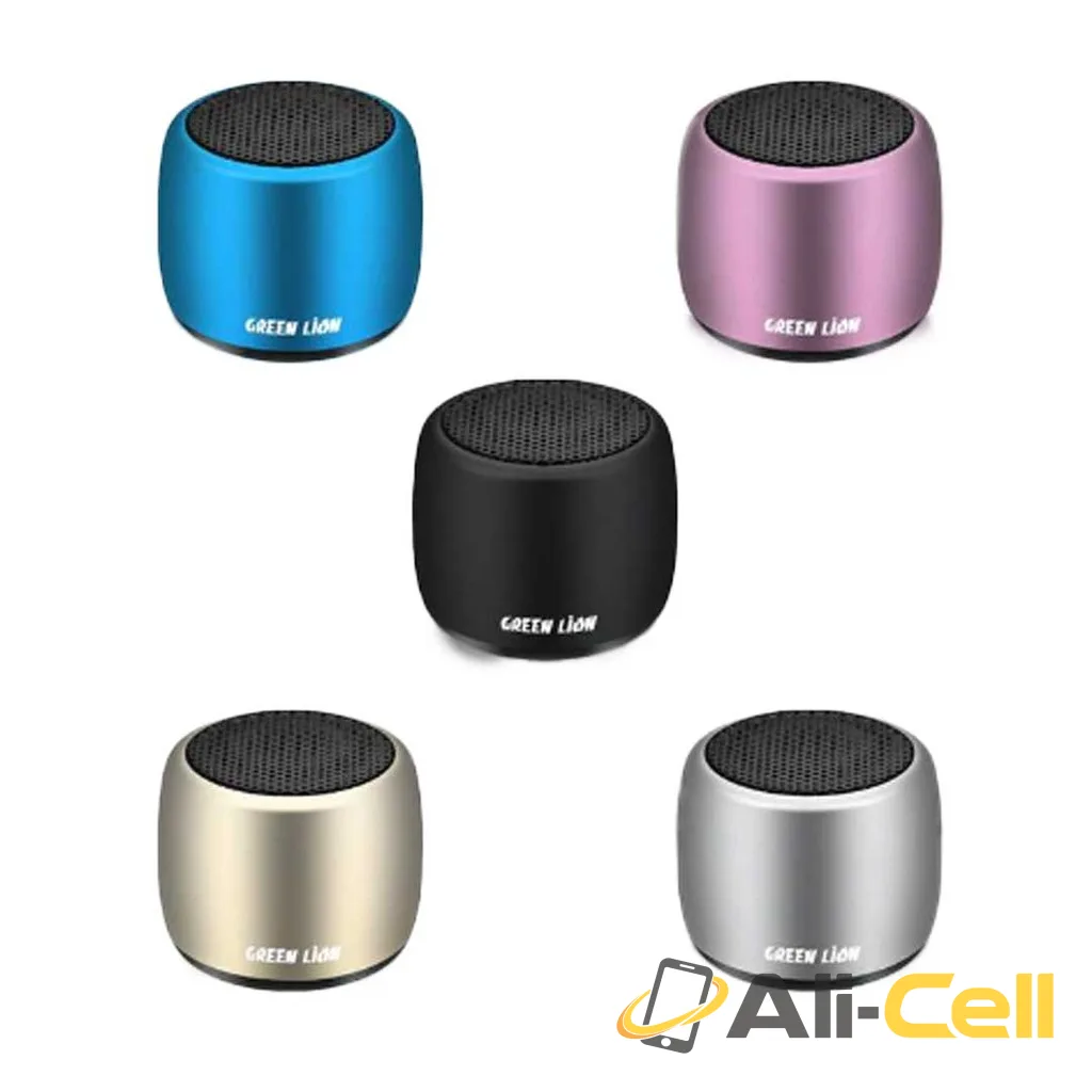 Green Lion Mini Speaker