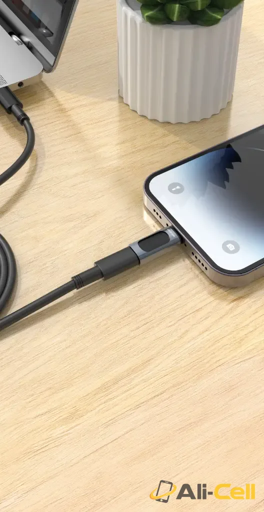 Green Lion OTG ADAPTER USB-C To Lightning USB — 2