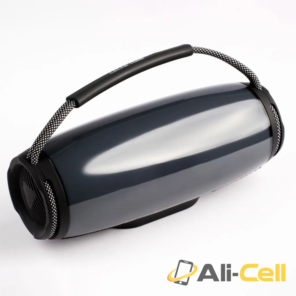 Green Lion Palma Portable Speaker — 2