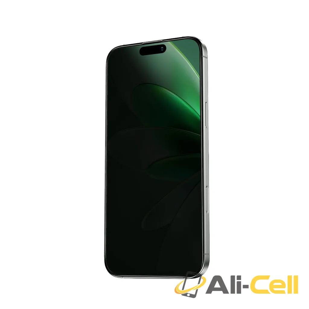Green Lion Picasso 3D Privacy Glass With Alignment Tray for iPhone 16 Series