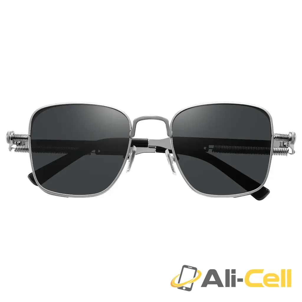 Green Lion Sentina Sunglasses - Silver — 2